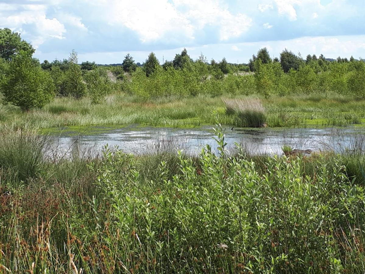 Вилла Haus Am Moor Rehden Экстерьер фото