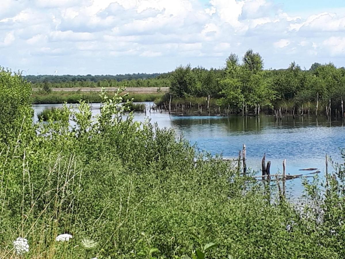 Вилла Haus Am Moor Rehden Экстерьер фото